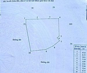 đất trồng cây lâu năm tại bình thuận